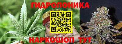 ECSTASY Северобайкальск