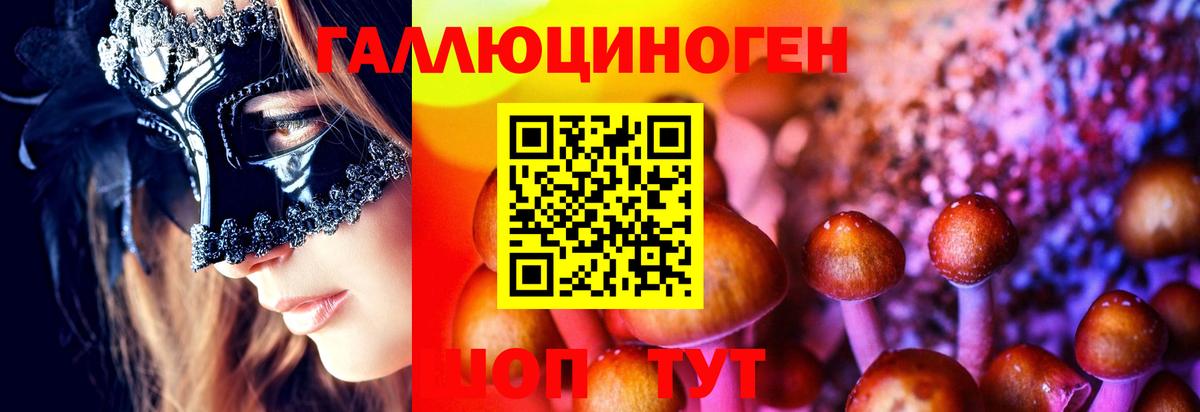 Псилоцибиновые грибы мицелий  Вход с VPN  Псилоцибиновые грибы мицелий  Обнинск 